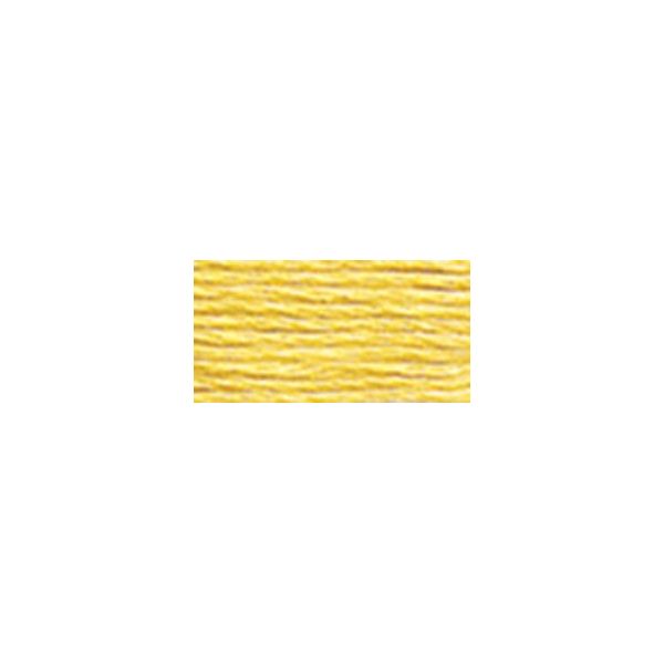 NOTM013488 DMC Six Strand Embroidery Floss (3822)