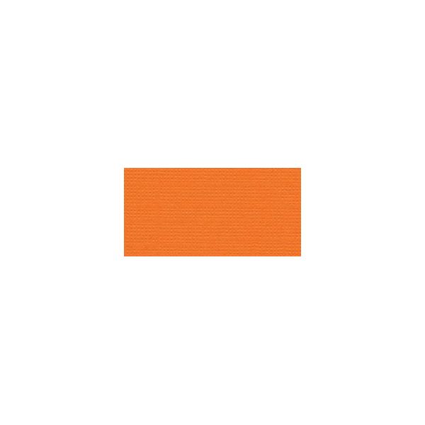 NOTM286537 Bazzill Cardstock