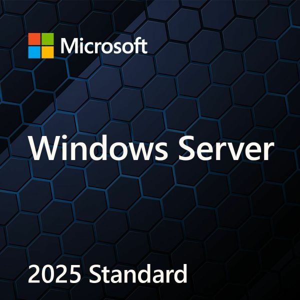 Microsoft Windows Server 2025 Standard Edition License 1 User CAL