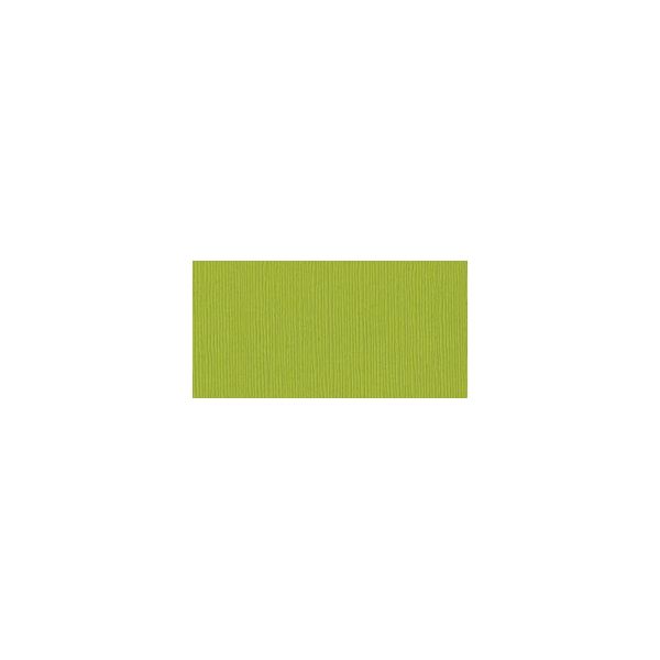 NOTM394355 Bazzill Cardstock
