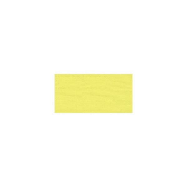 NOTM297103 Bazzill Cardstock