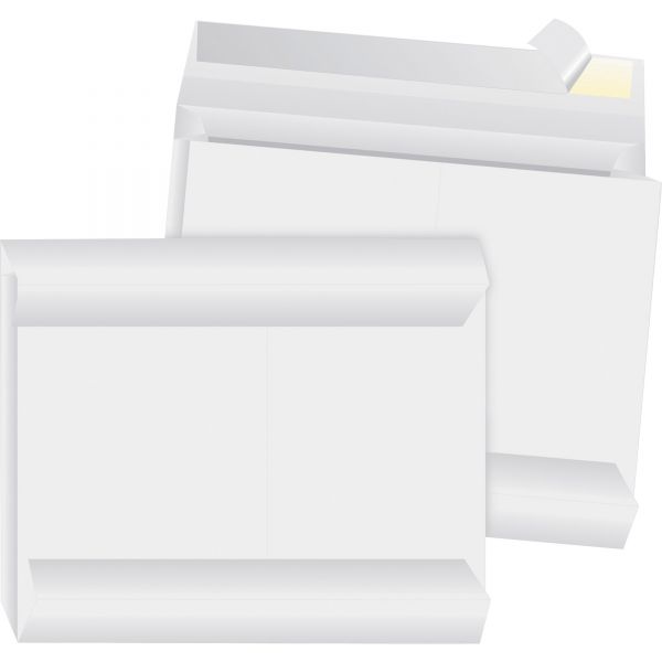 BSN42200 Business Source 10" x 13" Tyvek Envelopes