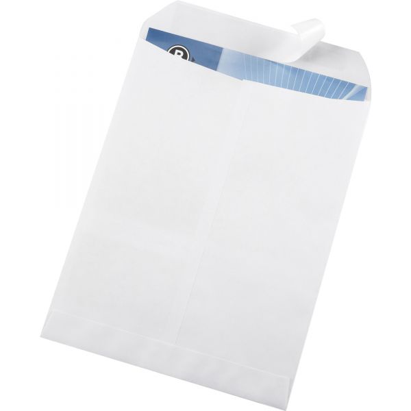 BSN65450 Business Source 9" x 12" Catalog Envelopes