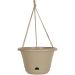 Hanging Baskets & Planters
